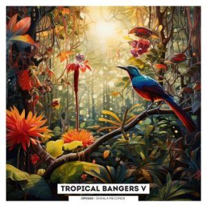 Tropical Bangers V artwork